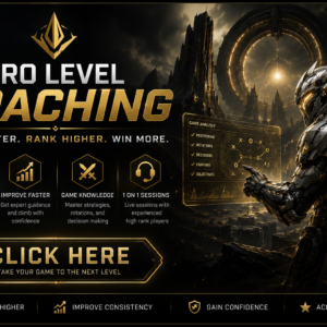 Predecessor Coaching Session